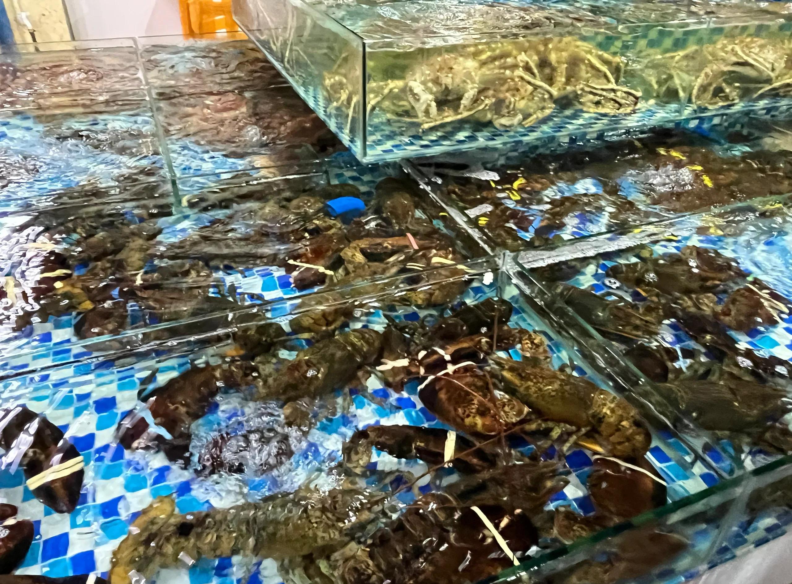 海南三亚：海鲜市场掀起“透明变革”
