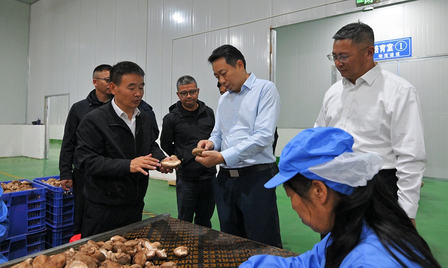 焦杨在壤塘县调研时强调 做强特色产业 夯实基础建设 以高质量发展新成效造福农牧民群众