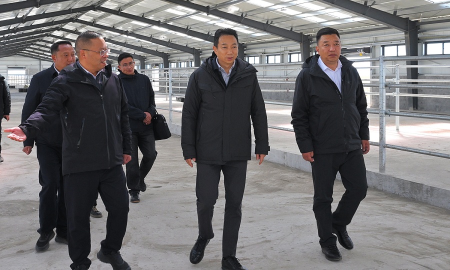 焦杨在红原县若尔盖县调研时强调 做强畜牧产业 壮大低空经济 真抓实干不断增进各族群众福祉